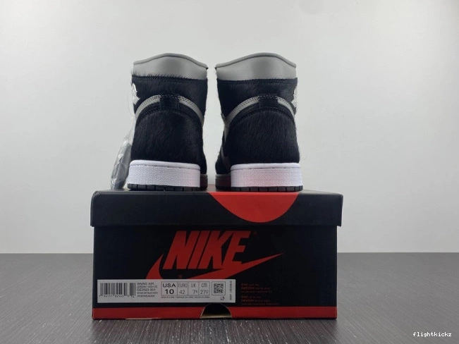 DZ2523-001 Twist 1 High 2.0 OG Air WMNS Jordan 1110